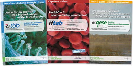 Example of conception and creation of presentation brochures for scientific schools
